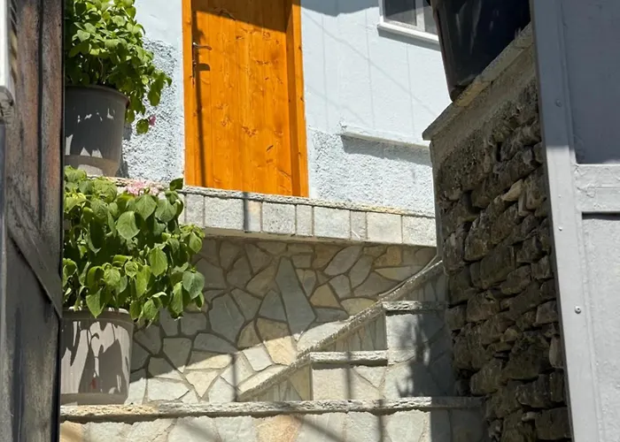 Te Ajdini Pensionat 3*