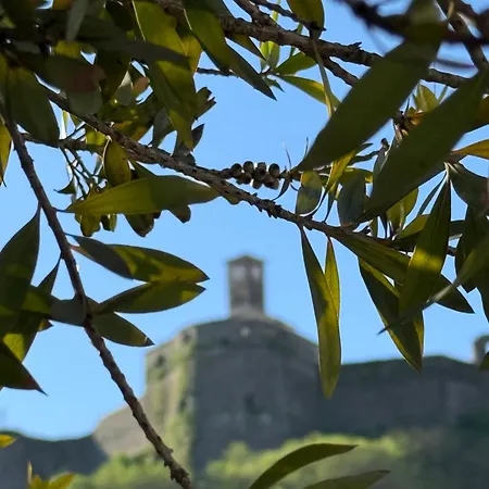 招待所 Te Ajdini Gjirokastër