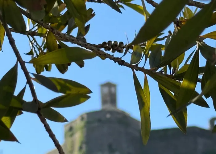 Vendégház Te Ajdini Gjirokastra